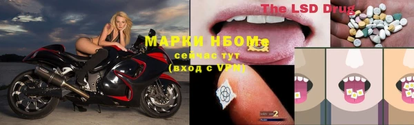 Альфа ПВП Новодвинск