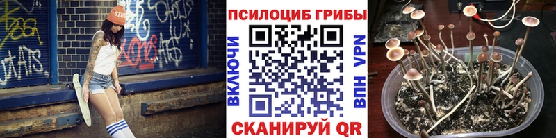 Галлюциногенные грибы прущие грибы  Боготол 