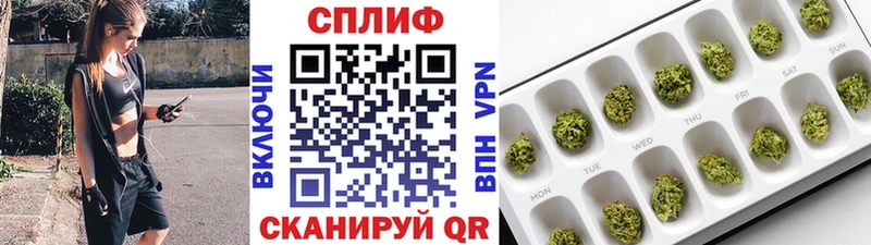 Конопля SATIVA & INDICA  Боготол 